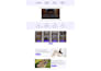 develop ecommerce, real estate, electronics website